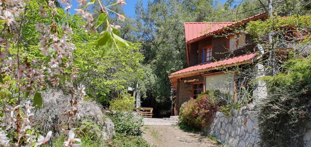 Casa De Montana Inmersa En Bosque Nativo San Jose de Maipo Exterior photo